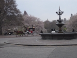 Redesign of Central Park Lookout Delayed After Criticism