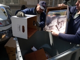 Paper Shredding Clears Junk, Minds at UWS School