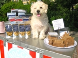 New Food Cart Going To The Dogs, Literally