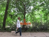 Inwood Hill Park Yarnbomb is a Family Affair