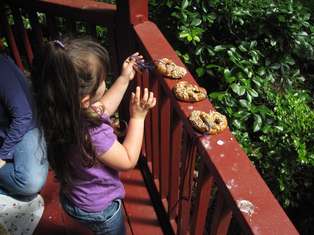 Marina del Solar makes pretzel, peanut butter and sesame seed treats for neighborhood birds.