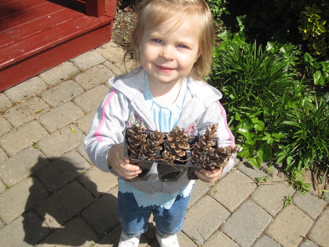Georgiana Schumacher gets creative with pine cones from Bruce's Garden on Park Terrace East.
