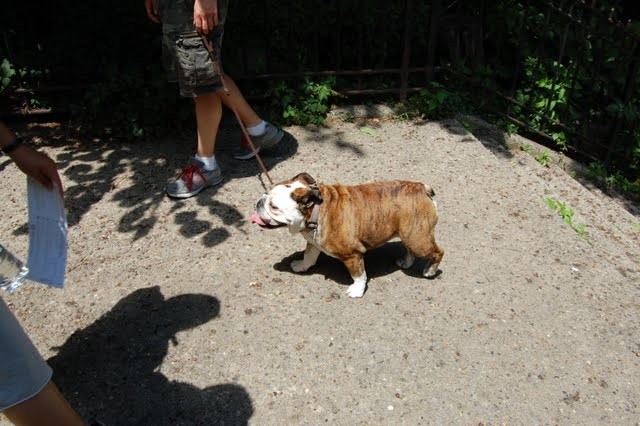 Even those with short legs took to the hike.
