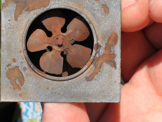 A close-up of one of Hage's etched and hand-painted fans.