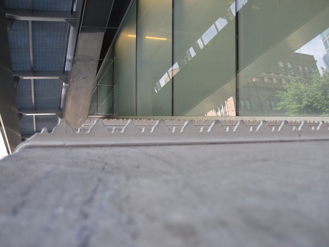 An up-close view of the metal spike strips.