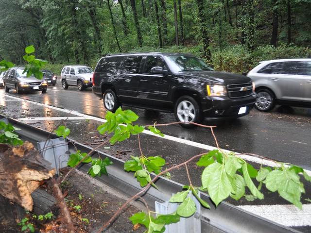 Broken branches and twigs were still scattered along the highway.