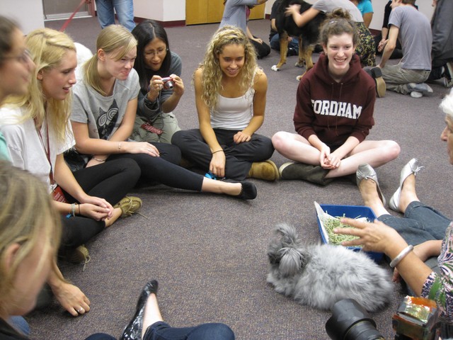 Students greet Stuart the rabbit at Fordham College at Lincoln Center on Wednesday.
