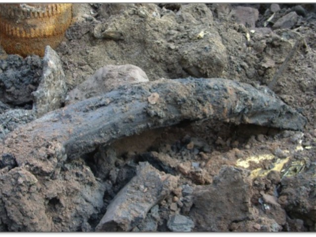 This curved timber first alerted workers that a boat was lurking beneath the mud at the World Trade Center site.