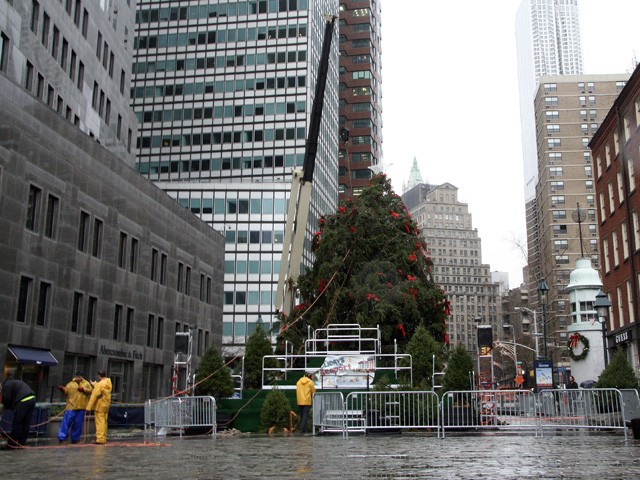 The newly truncated tree was raised again Wednesday afternoon.