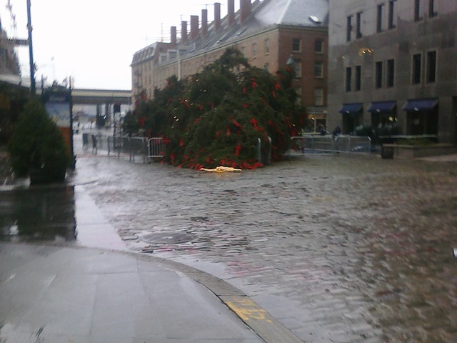 The tree fell on Fulton Street near a Guess department store.