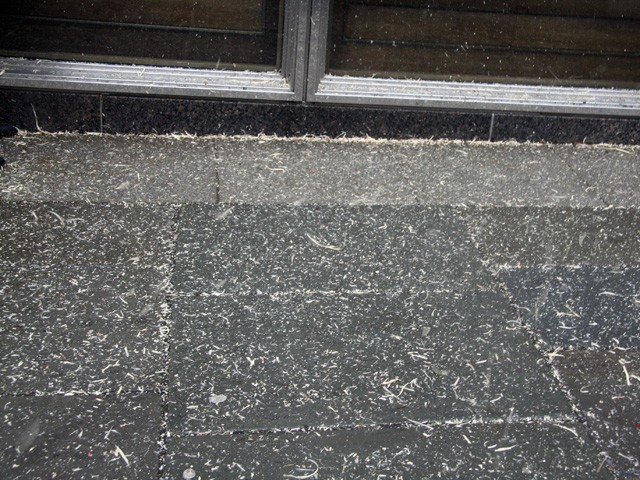 Sawdust from workers chainsawing the tree covered the ground on Fulton street.