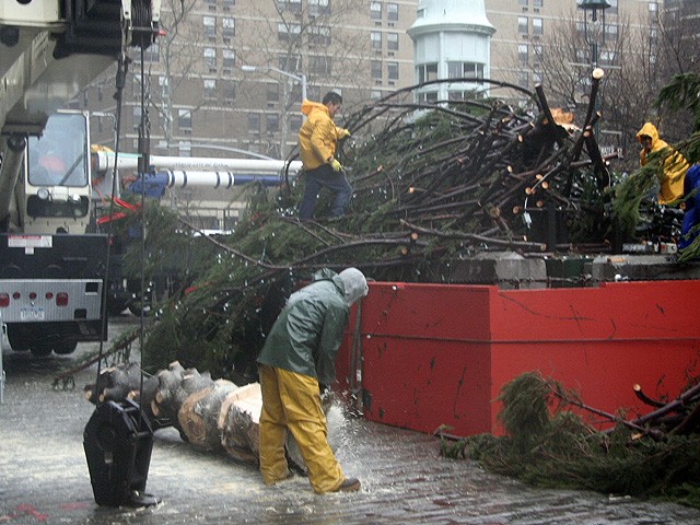 A worker starts to cut the base of the tree into pieces.