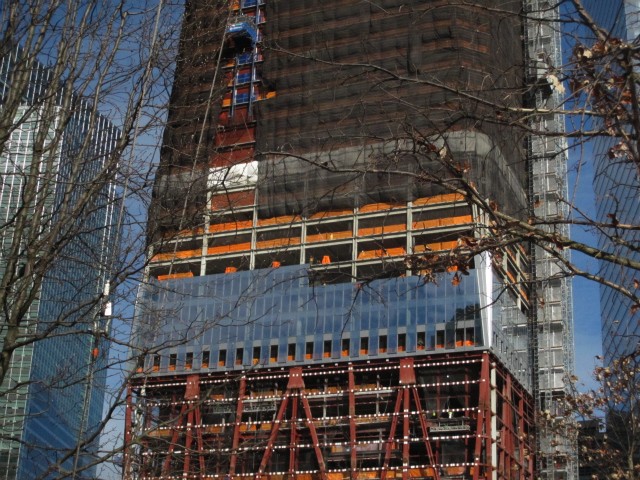 The Survivor Tree's branches, left, with the rising One World Trade Center in the background.