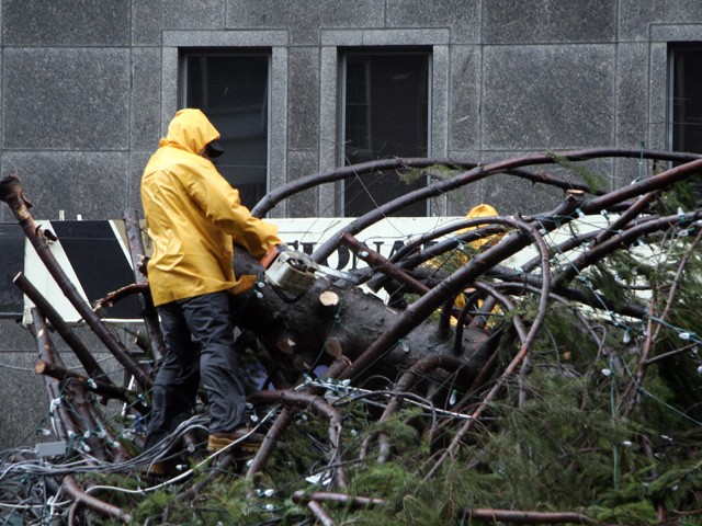 Workers started to chainsaw off branches off the bottom of the tree in an effort to put it back up.