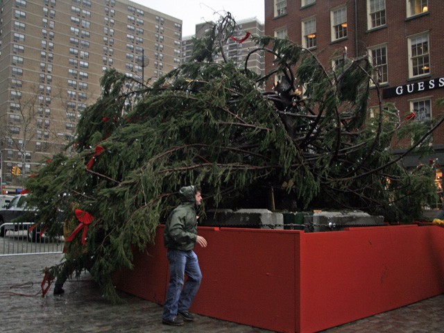 Workers try to secure the Christmas tree at the South Street Seaport amidst the heavy wind.