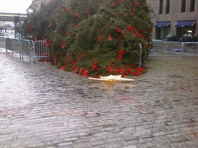No one was injured when the tree fell, according to witnesses.