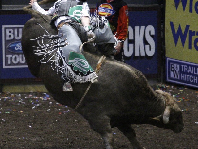 Kody Lostroh, of Longmont, Colo., rides Smack Down during last year's Professional Bull Riders Invitational at Madison Square Garden.