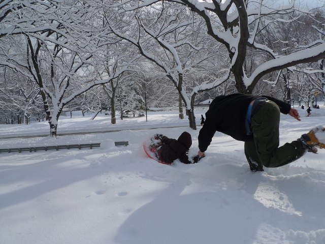 Dad Eric Hayes pushes 5-year-old Magnus Hayes down a hill in Central Park, where wet snow made for challenging sledding conditions.