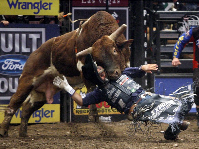 Jared Farley of Kempsey, Australia, is thrown to the ground after riding for a full eight seconds on the bull Big Bend during the first round of the Professional Bull Riders Versus Invite at Madison Square Garden on Jan. 4, 2008.