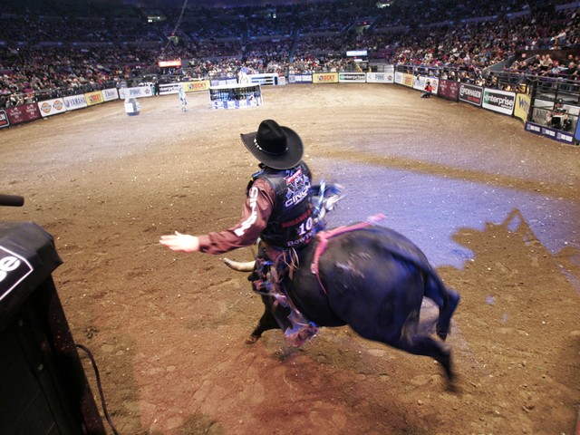 Brendon Clark leaves the chute during the championship round at the Professional Bull Riders Versus Invitational at Madison Square Garden on Jan. 6, 2008.