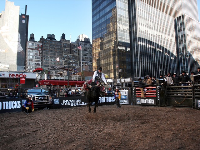 Professional bull riders hold a demo exhibition outside of Madison Square Garden Jan. 3, 2008.