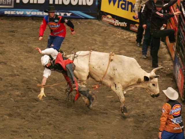 Sean Willingham is thrown from a bull during the Versus Invitational Professional Bull Riding (PBR) Tournament on Jan. 7, 2007 at Madison Square Garden.