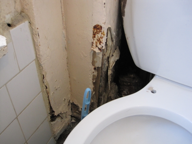 Judelia Nicolas, 25, says rats and mice come through the holes in the bathroom of the apartment where she pays $2,107 per month in rent.