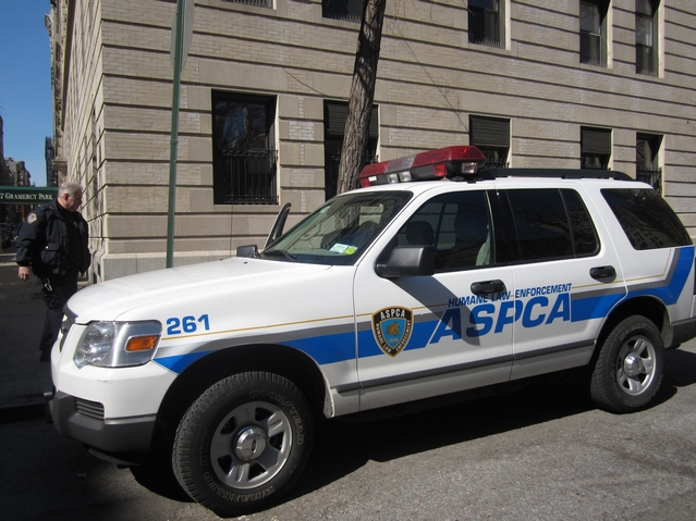 ASPCA agents were in Gramercy Park on Tuesday investigating the dead finches.