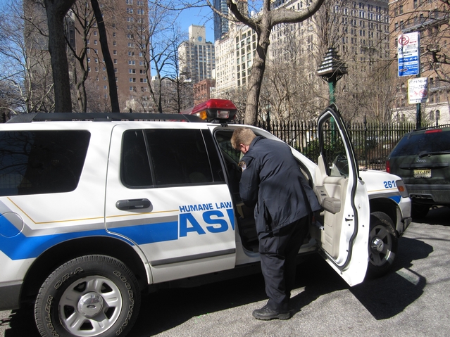 The ASPCA on the scene at Gramercy Park on Tuesday.