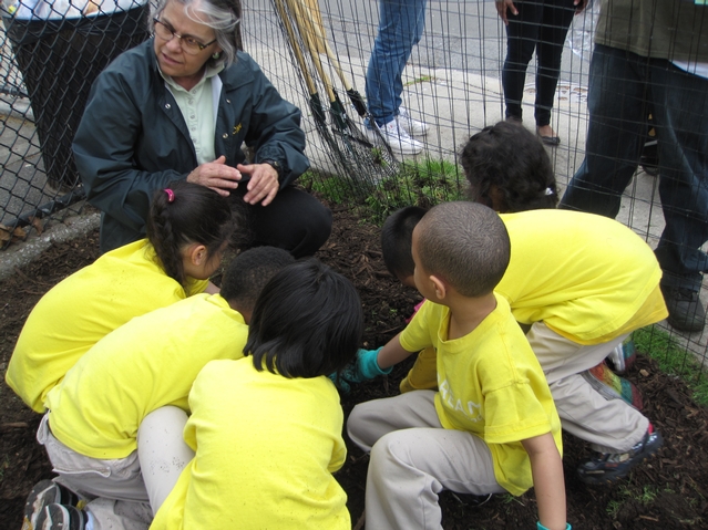 NYCHA commissioner Margarita Lopez helps the Dream Charter School kids plant wildflower seeds.