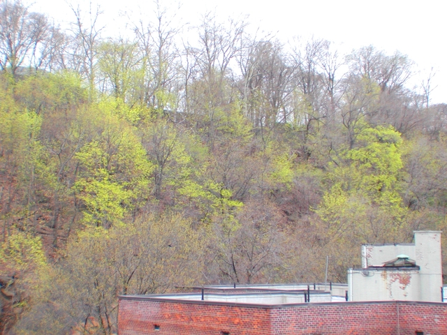 The view from one of the Hudson 192 terraces.