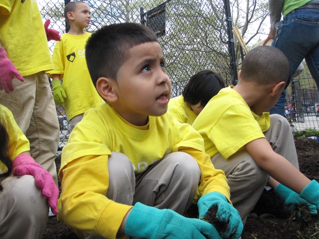 Kids from Harlem RBI's Dream Charter School planting on a once trash-strewn lot.