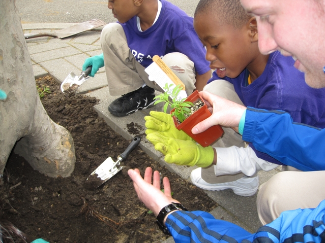 Kids from Harlem RBI's Dream Charter School planting flowers in the playground.