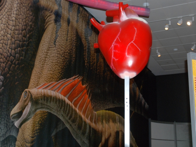 World's Biggest Dinosaurs Stomp into American Museum of Natural History