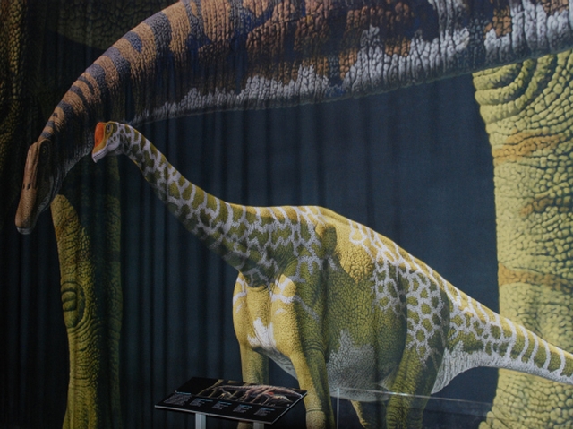 World's Biggest Dinosaurs Stomp into American Museum of Natural History