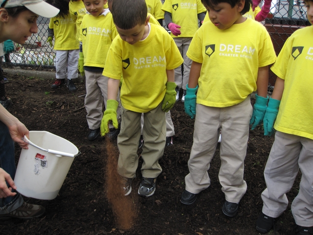 Kids from Harlem RBI's Dream Charter School planting wildflowers.
