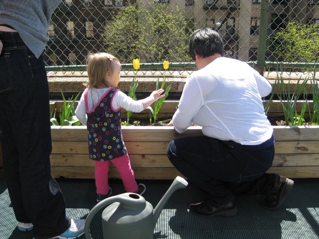earth day activities 2011. weekend with an Earth Day