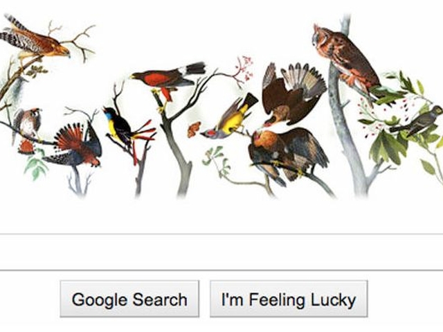 Googel celebrated the 226th birthday anniversary of John James Audubon this week with a Google Doodle on its homepage.