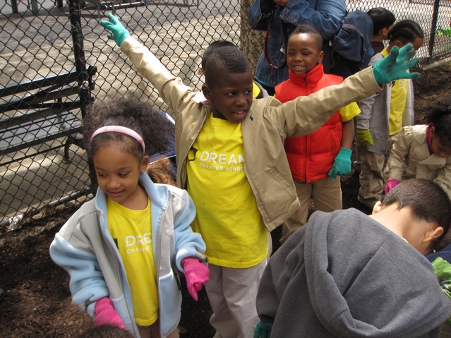 Celebrating a successful planting.