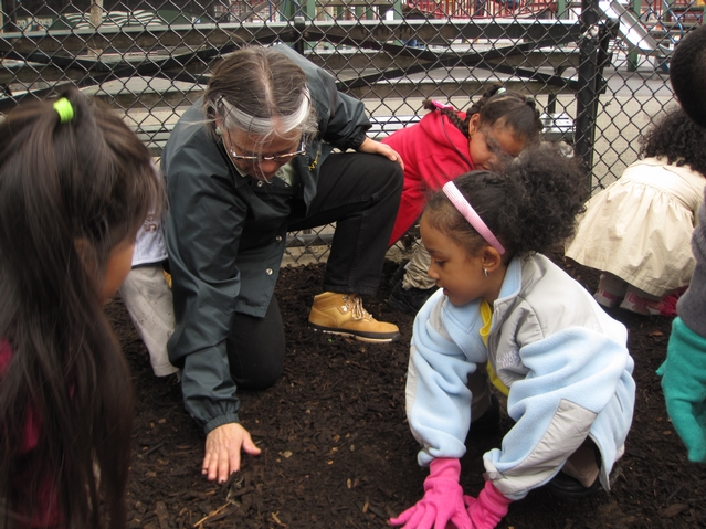 NYCHA Commisioner Margarita Lopez plants wildflowers with kids from Harlem RBI's Dream Charter School.