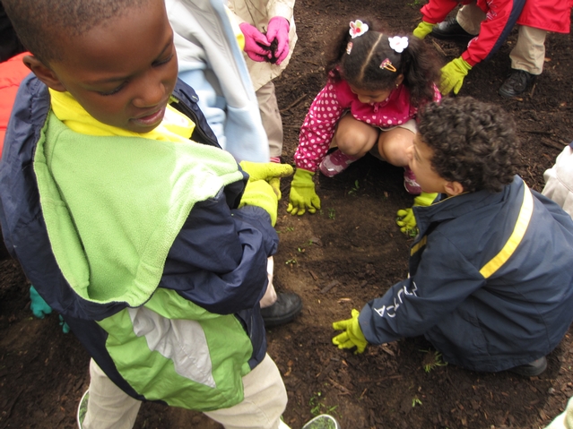 Kids from Harlem RBI's Dream Charter School plant wildflowers in a once trash-strewn lot.