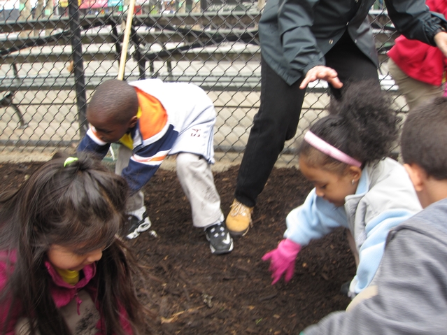 Kids from Harlem RBI's Dream Charter School planting wildflowers.