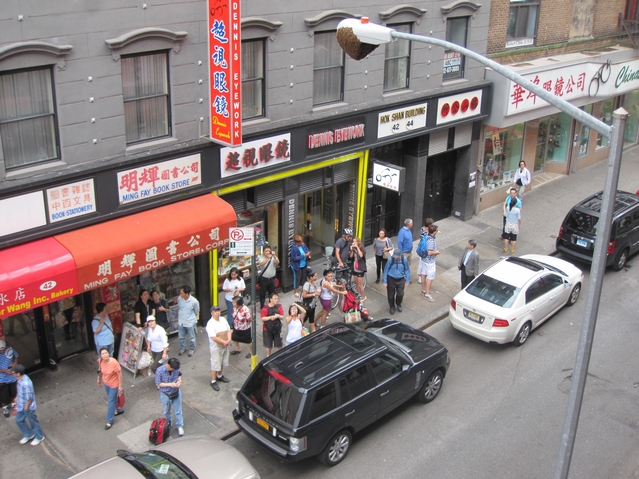 A crowd gathered on Mott Street Monday afternoon to look at the swarm.