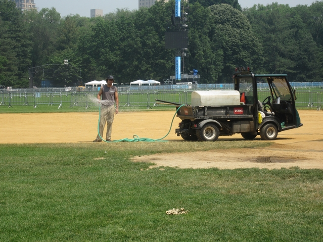 How will the Great Lawn's grass look after the Black Eyed Peas show?