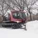 Snow Festival Storms into Central Park