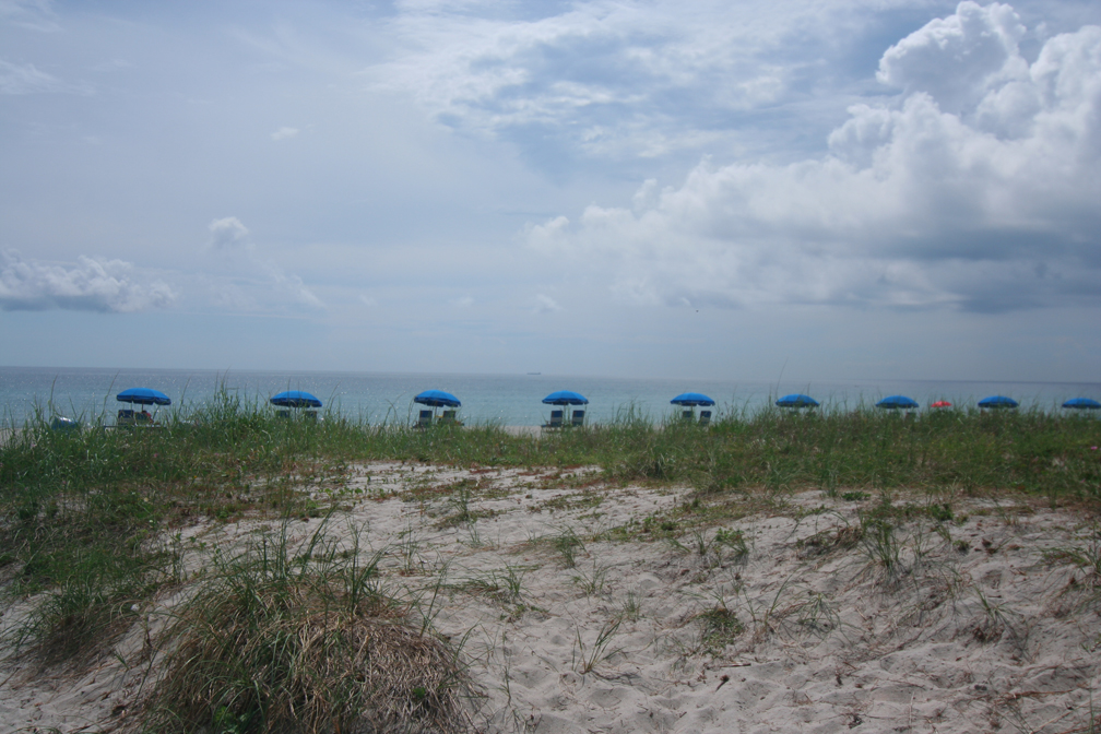 THE BEAUTIFUL BEACHES OF FLORIDA. CHECK THEM OUT. Beautiful Beaches in Delray.