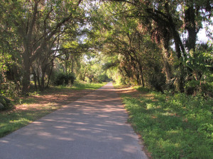 CITRUS COUNTY FLORIDA NO PLACE FOR COUCH POTATOES Part 1 Citrus County Rails to Trails