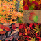 Fall_into_spring_small_thumb