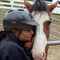 Dsc01376_thumb