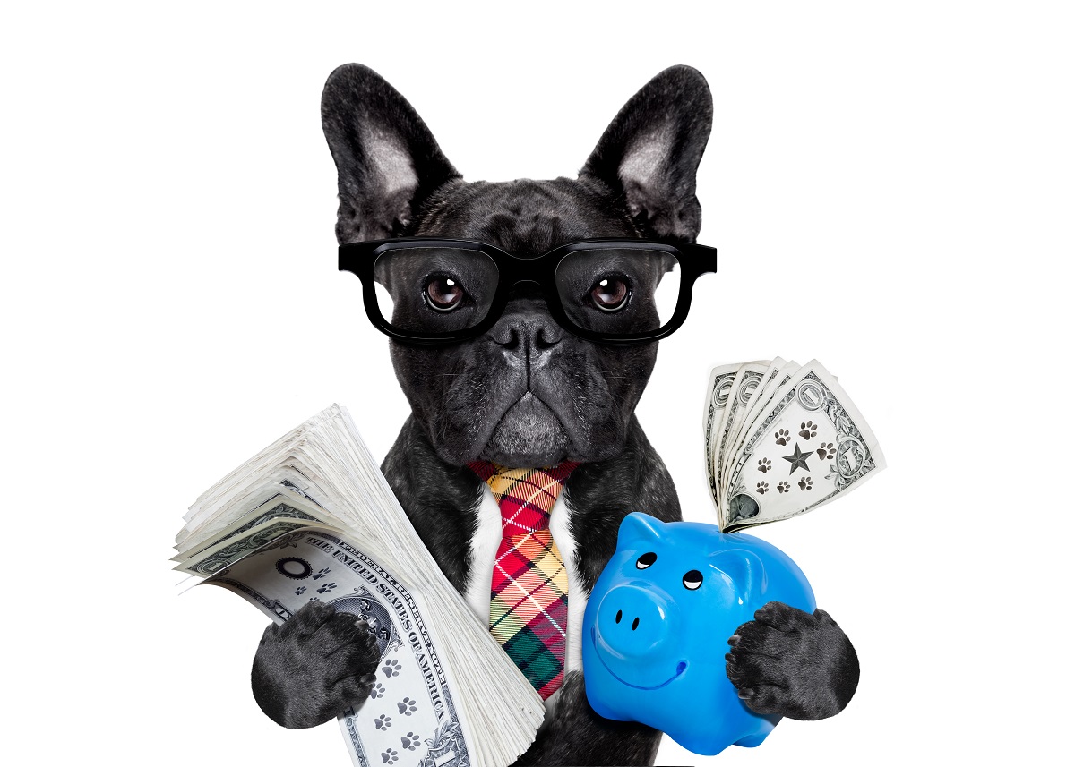 FRENCH BULL DOG INVESTOR